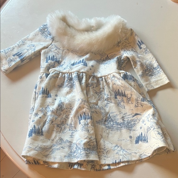 Janie and Jack Other - Janie and Jack Frozen fur trimmed dress